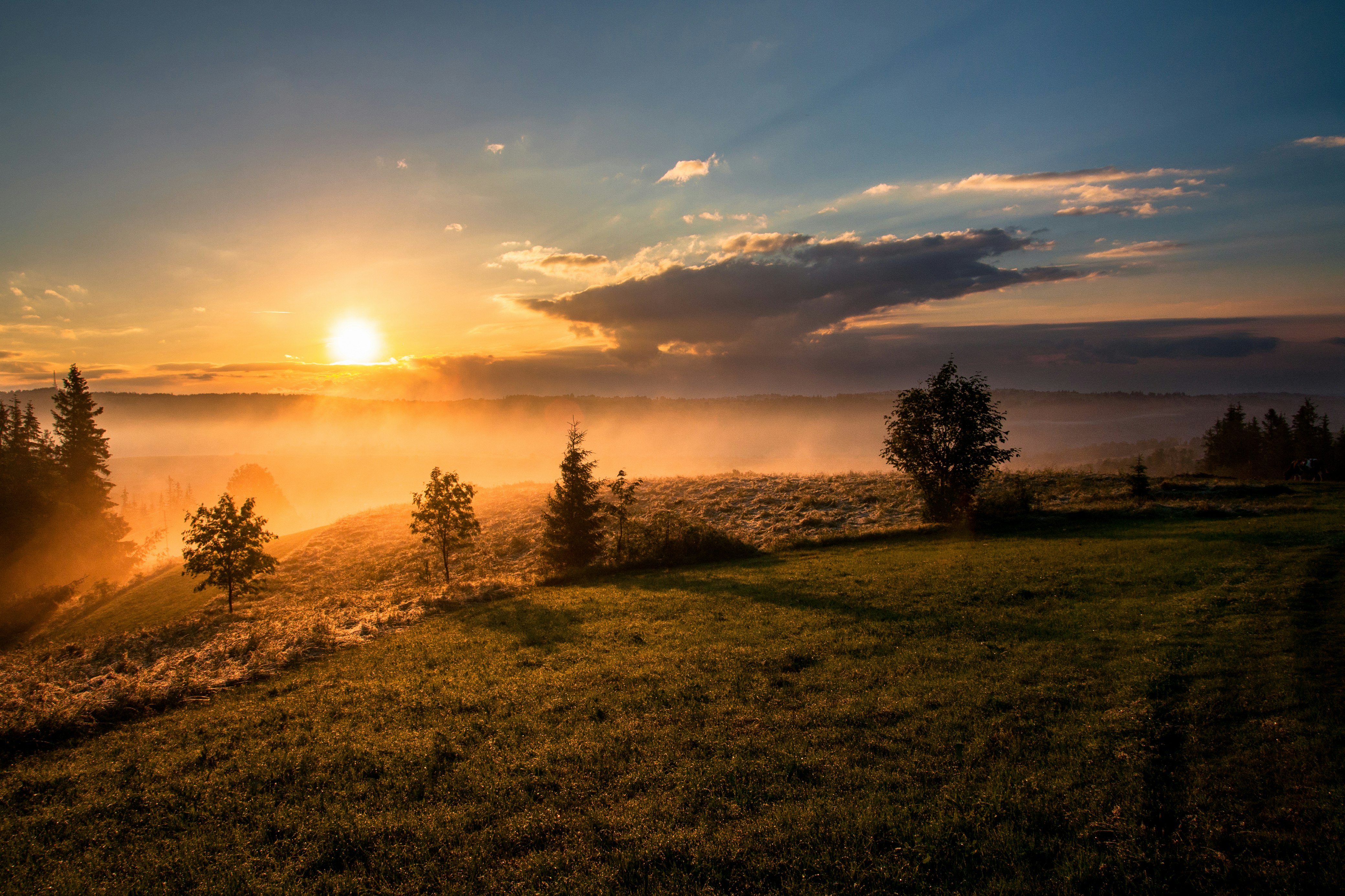 Golden sunset field symbolizing hope